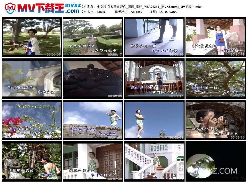 潘安邦-我怎能离开你_国语_流行_MEA01241